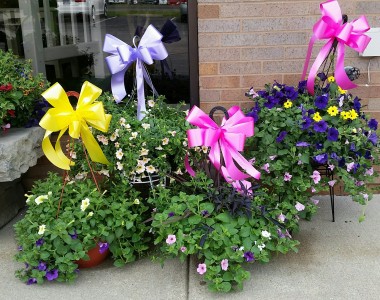 HANGIN' WITH YOU! HANGING BASKETS