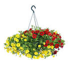 Hanging Flower Basket 