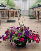 Hanging Basket  