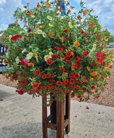 Hanging Basket Assorted   in Fort Mill, SC | Gallery of Flowers South