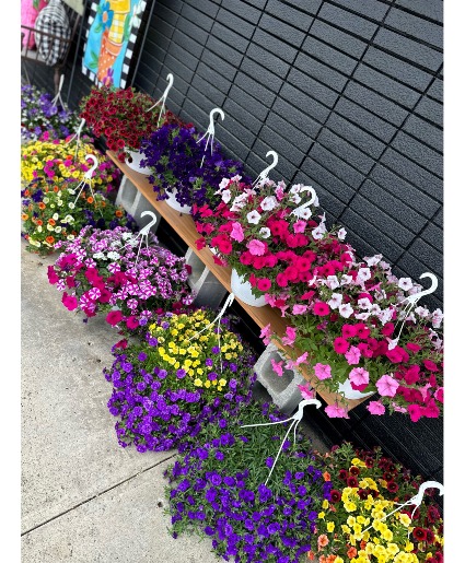 Hanging Basket Hanging Basket