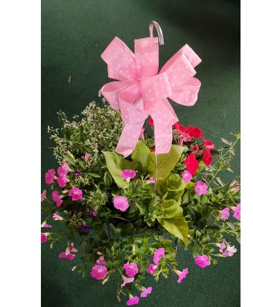 Hanging Basket of Outside Plants  in Jacksonville, AR | Jacksonville Florist & Gifts