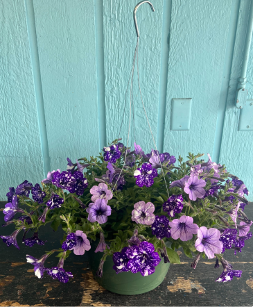 Hanging Basket Outside Plant in Mcminnville, OR | POSEYLAND FLORIST