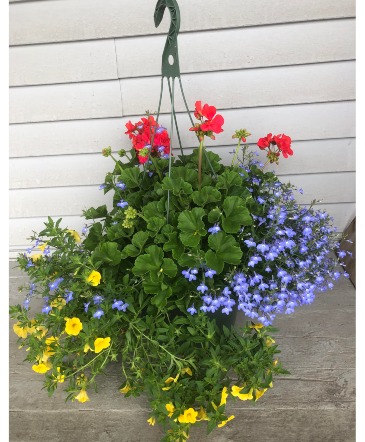 Hanging Basket Plant in Middlebury, VT | COLE'S FLOWERS