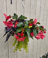 Hanging Basket Shade Loving Hanging Basket