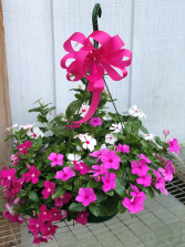 Hanging Basket- Vinca Greenhouse