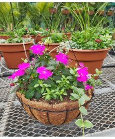 Hanging Basket w/Coco Fiber 