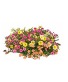 Hanging Baskets - Available 5/2- & after plant