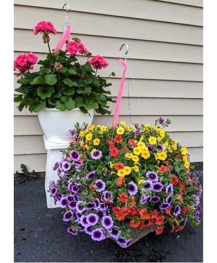 Hanging Baskets in Napoleon, OH - Anything Grows Napoleon