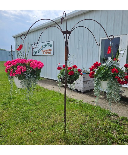 Hanging baskets 