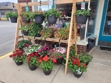Hanging Baskets for a beautiful summer Live Plants in Plain City, OH | PLAIN CITY FLORIST