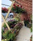 Hanging Baskets Hanging Baskets