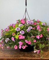 Hanging Baskets Mothers Day Hanging Baskets