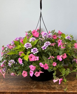 Hanging Baskets Mothers Day Hanging Baskets