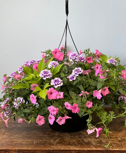 Hanging Baskets Mothers Day Hanging Baskets