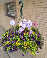 Million Bells Hanging Basket  HB251 Colors/ Varieties 