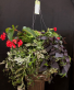 12” Foliage Shade Basket 