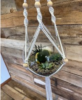 Hanging Macrame Succulent Terrarium 