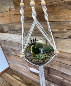 Hanging Macrame Succulent Terrarium 