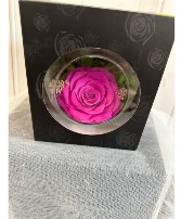 Hanging rose globe in Hot pink  Forever Roses