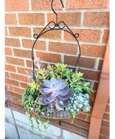 Hanging Succulent Garden House Planter