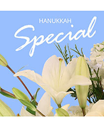 Hanukkah Special Designer's Choice