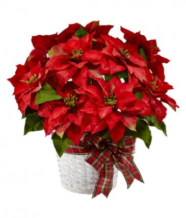 Happiest Holidays Poinsettia  in Frederick, MD | Maryland Florals