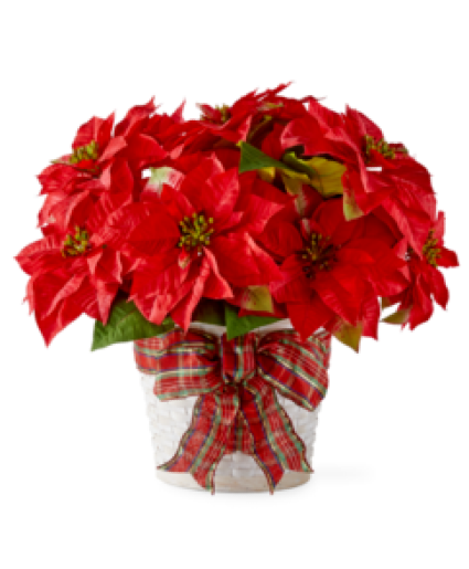 HAPPIEST HOLIDAYS POINSETTIA