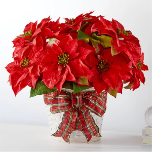 Happiest Holidays Poinsettia 
