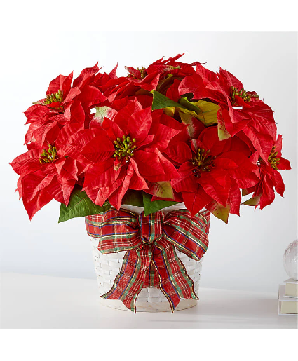 Happiest Holidays Poinsettia 