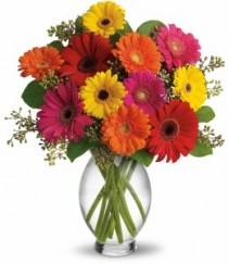 Happiness! Gerbera Vase