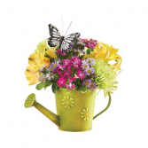 Happiness Grows Arrangement