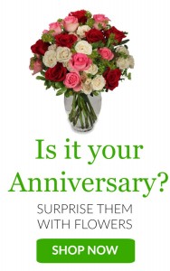 Happy Anniversary
