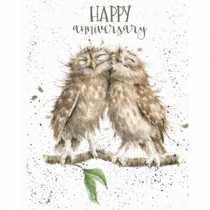 happy anniversary owls card  