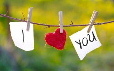 Happy Anniversary! Say I Love You with Flowers!