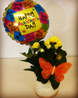 Happy Assistant's Day Blooming Plant 4" Blooming Plant with Themed Balloon in Plainview, TX | Kan Del's Floral, Candles & Gifts Happy Assistant's Day Blooming Plant 4" Blooming Plant with Themed Balloon in Plainview, TX | Kan Del's Floral, Candles & Gifts