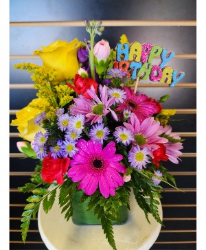 Happy Birthday  