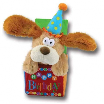 Happy Birthday Dog