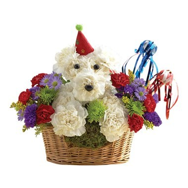 Happy Birthday Dog-Able Floral Delivery