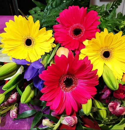 COLORFUL DAISY BUNDLE Hand tied bouquet of Gerbera daisies & more