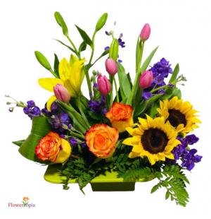 Happy Celebration Flower Arrangement