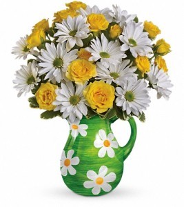 EXCLUSIVELY AT FLOWERS TODAY FLORIST Happy Daisies