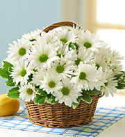 Happy Daisy Basket