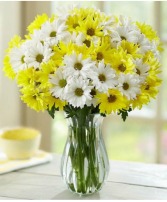 Happy Daisy Mum Vase  