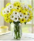 Happy Daisy Mum Vase  