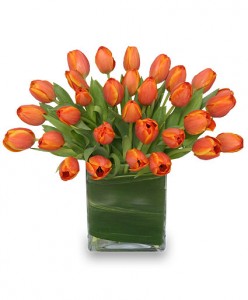 Happy Day Tulips *Can mix colors, specify in additional comments
