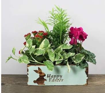 Happy Easter Planter Dish Garden in Invermere, BC | INSPIRE FLORAL BOUTIQUE Happy Easter Planter Dish Garden in Invermere, BC | INSPIRE FLORAL BOUTIQUE