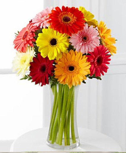 HAPPY GO GERBERS Vase Arrangement