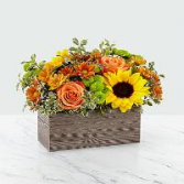 Happy Harvest - 193 Fall arrangement 