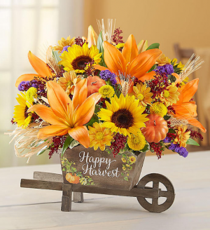Happy Harvest Arrangement in New Wilmington, PA | FLOWERS ON VINE Happy Harvest Arrangement in New Wilmington, PA | FLOWERS ON VINE